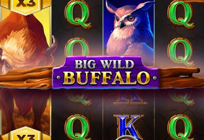 Follow Step-by-Step Joya 9 Casino Login Process instructions.